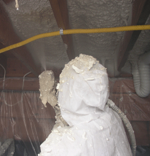  AZ crawl space insulation